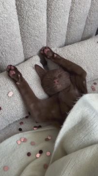 ��� �����, ���� � �������. ������� ����� ����� �������� ���