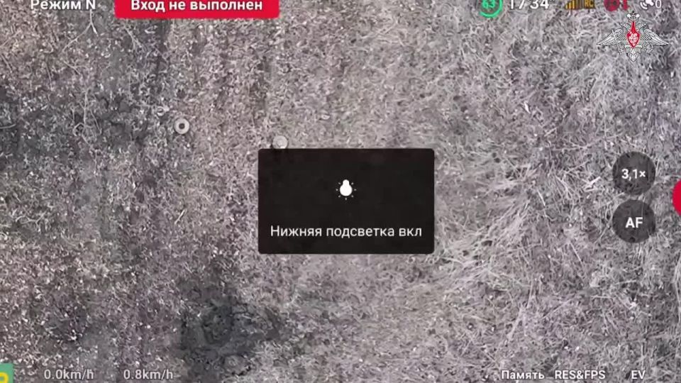 ���������� ������������� 29-� ������������� ����� ����������� ����� ������� �������� ������������� �������������� � ������ ��������� ����������� �������