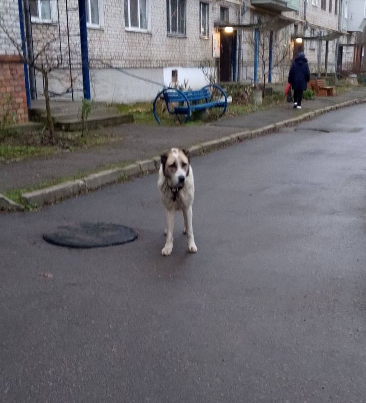 �� 2�� �����������, ����� ������, 2� �����, �� ���������� ������ ������� ������, ����� ��� ������, � �������� (������ �� ������� �������� � 11.00). ������ ���������. ����� ���� �������