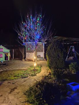 ��� ������ ���� �������� �� ������� ������� ������������ ���������� ������� ������ � ����������� � ��� ����������