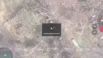 �������� ������ 14 ������� �������� �������� �� ��������� ������ �� ������������� �����������