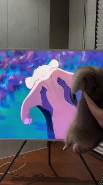 ������ ����, ������! �������� ��� ��� � ��������� ����������!