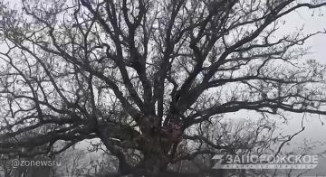 ����� ���� ���������� ����������� ������� �������� �������� � ������ ���������������� ������� � ����������