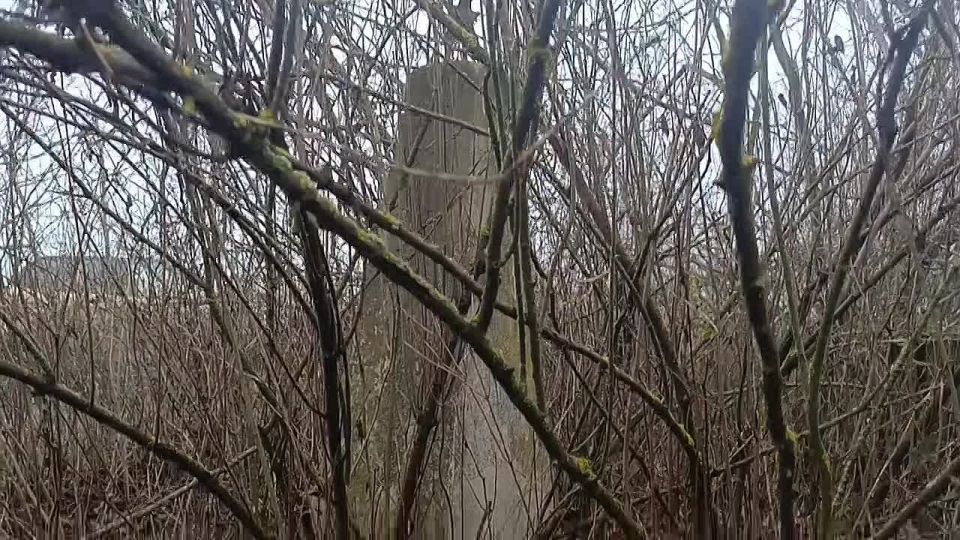 ����������� ������� �������� � ������������ ������������� ������ ����� ������������