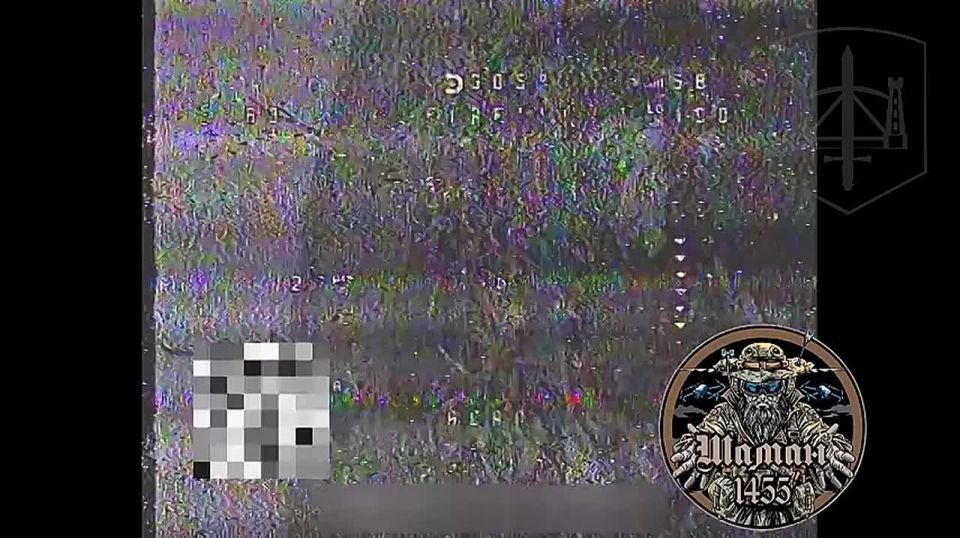 ����������� �����������. ��������� ������ �������������