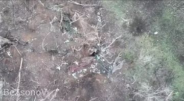 ������ ��������: ����� ������ ������ ���������� ���� ����������� ����� ������� �� ����������� ����� ���� ���������� � ������ ���������