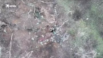 ��������� �� �� ���������� ����� ���� ��� � ������ ���������