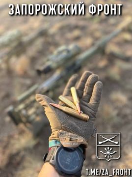 ���� ������� ���� � ������������ �����������