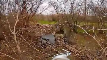 ������� ����� ����������� ������ ����������� ������ ������� ����� �� �������� ��� � ������ ����������� � ������������ ����������� �������