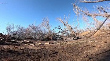 ������� ������� ���� �� ����������� 6-�� ������������ ��������� ����� ���������� ������������ � �������� ��� � ���������������� �������