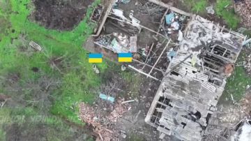 ����� �� �����-���� �������� � �������� ����