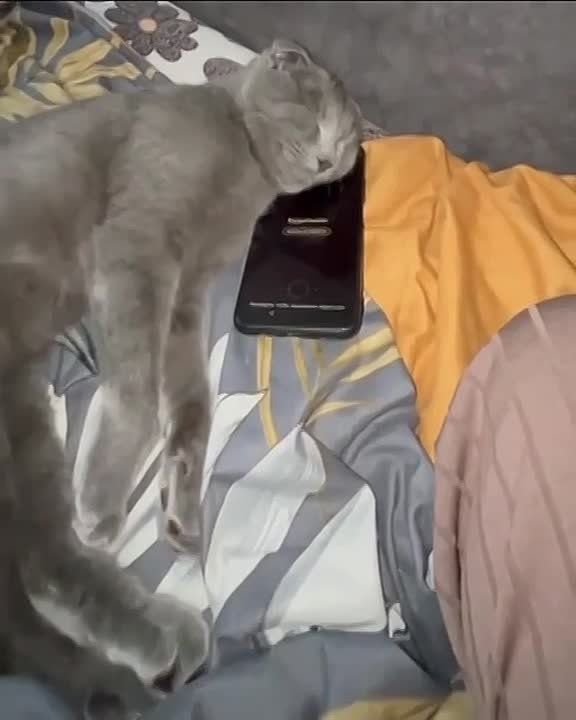�� ��������, ������� �� ��������