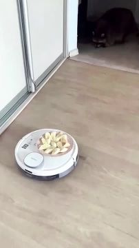 ������ ����, ������! �������� ��� ��� � ��������� ����������!