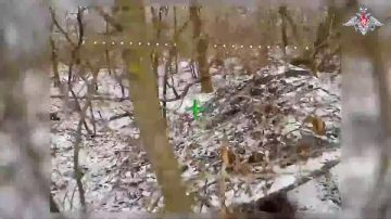 �������� �������� �� �������� ������ ���� ������: ����������� ����������� ����������� �������