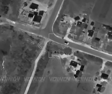 ���������-���������� 35 ����� ����������� "������" ���������� ��� "�����" ����������, ����������� �������