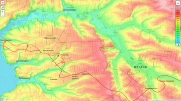 ���� ��������: ����������� ����������� (�� ���� 25.12.25): ������ ������ ��� �������� �������