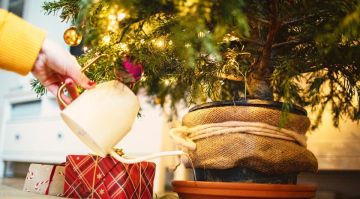 ����� ��� �������. �������� ����������, ��� �������� ����� ���������� ����