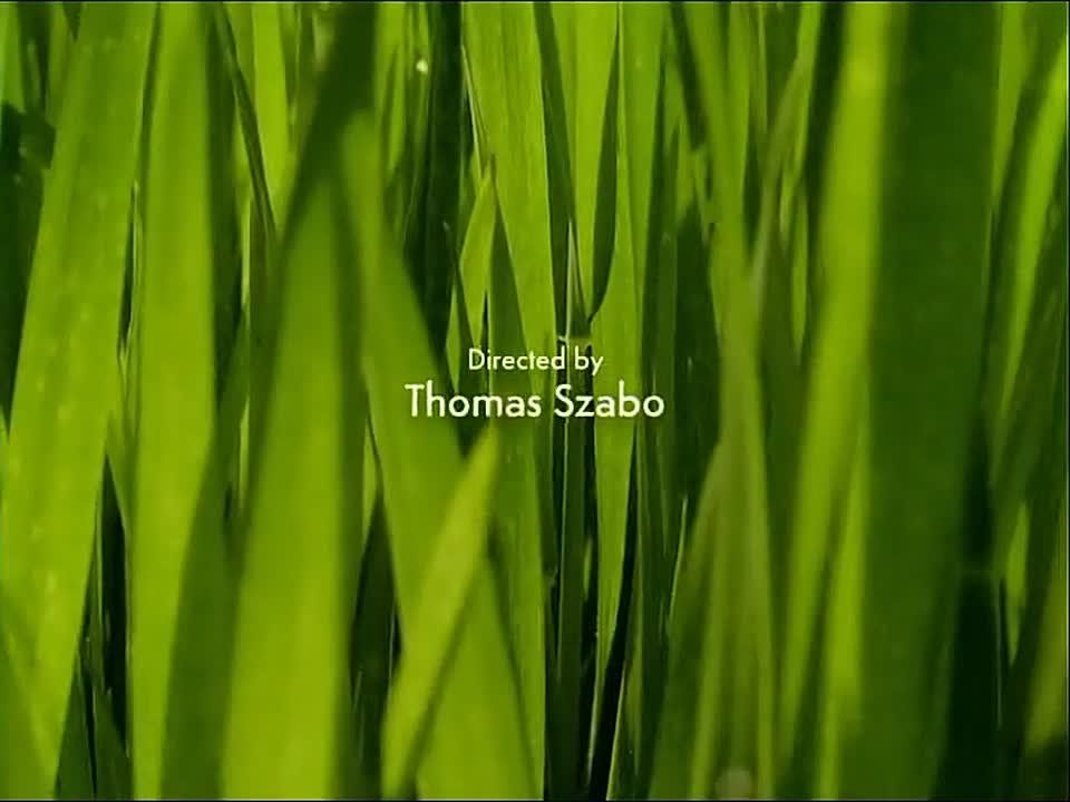 ������!. �� ����� ����������� ��������� ������ ������! ����� ���������, ��� ��� �� �������� ��� ���������� ��������� � ���� ���������� �������������