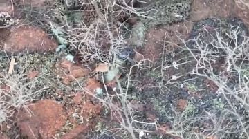 ����������� �����������.. ��������� ������ ����������� ������������� 4 ������� ���� ������� ��������� ���� �� ����� ������� ���������� ����� �.�.������