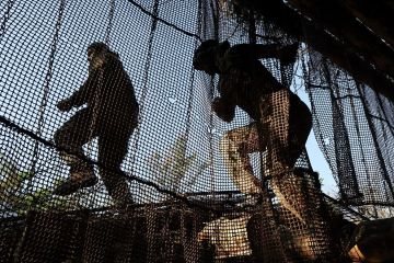 ��� �������� ������������� ��-�� ���������� ���������� ������ � ���������