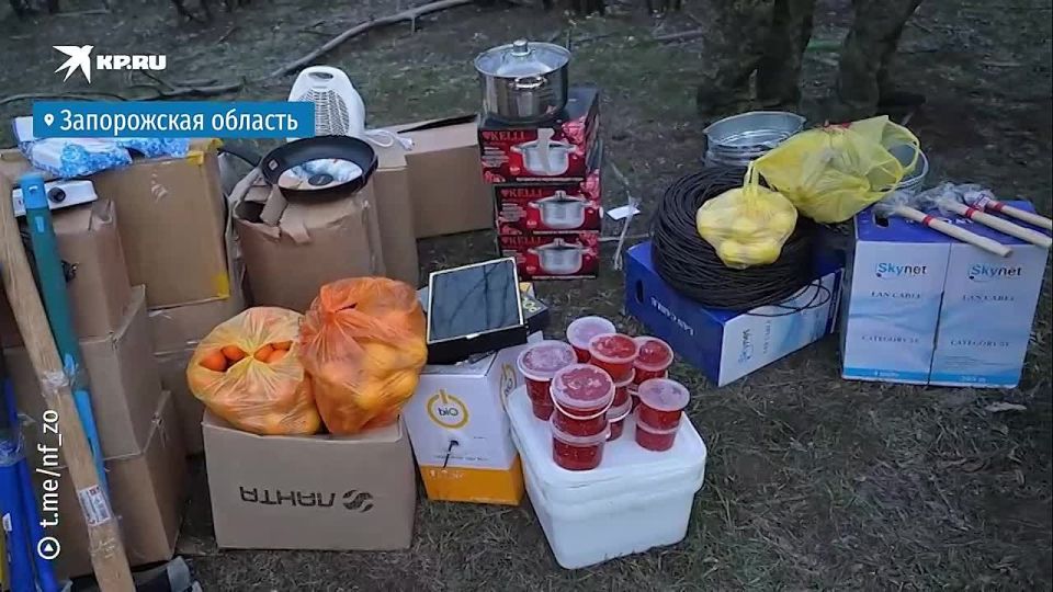 �� ���� �������� � �������: ���� ����� ������� ������� � ������