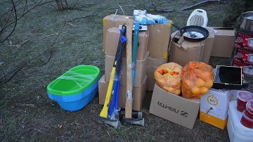 ���� ������ ���� �� ���������