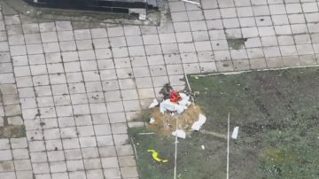 ���� ������������� ��������� �� �������� ��������� ������� ����� � ������ ���������