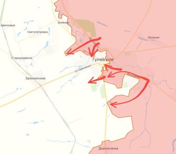 Виталий Киселев: Оперативная обстановка под Гуляйполем: плацдармы соединены, враг в тисках