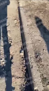 ����������� �������� ��������� ���� ������