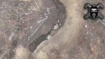 ������� ����������� ������ ��� � ������ ������ ������ ����������� ������� ���������� ������ ������ �����