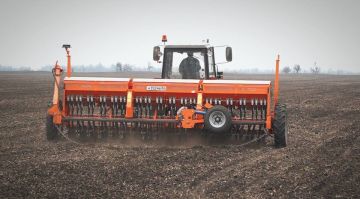 � ����������� ������� ������� ����� ��������� � �������� �������� 2025 ����