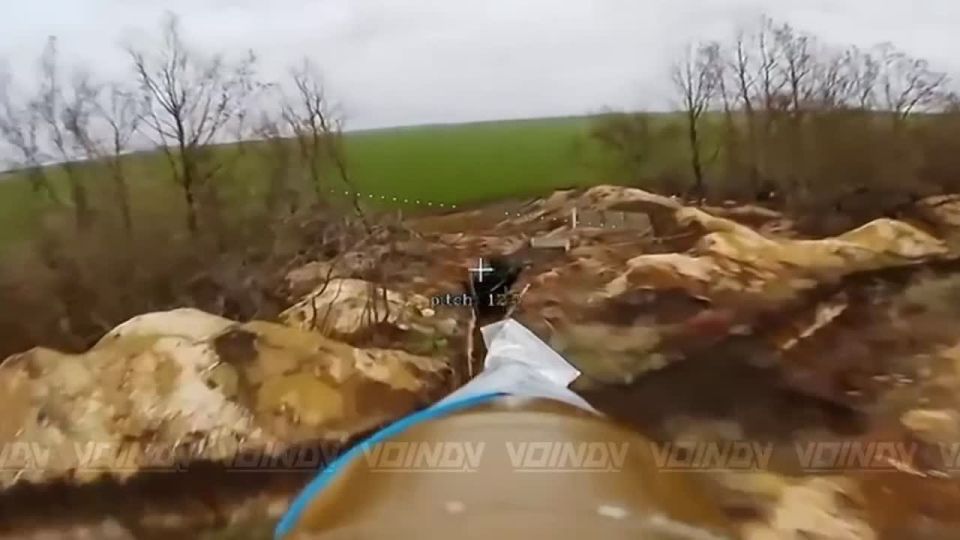 ������ ������� ������� �����-����, ��������� ������� �������������� ������ � ������ �� ������