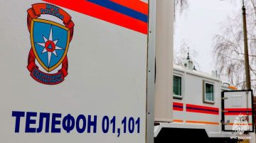 Оперативная информация за сутки