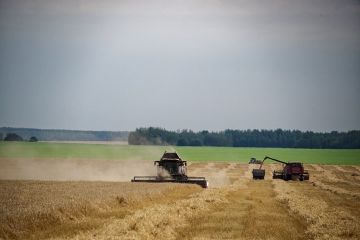 ������� ����������� ������� ������� ����� 1,3 ��� ���� ���������������� �� ���