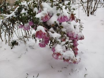 ������ ������ �������, �������, �����������, ���������, �������, �������� � ����������� ����