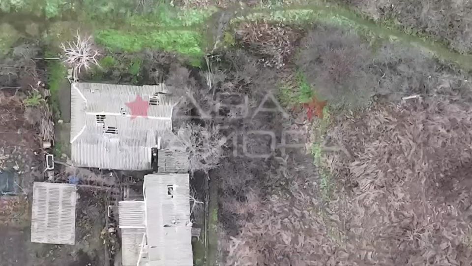 ��� ������: ����������� �����, ����������, �������