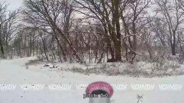 � ����� � ������ �� �������� ���������! ���������� 14 ����������� ������� �������� �� �������������� � 5 ������ ����������� "������" �������� ������ ���������� � ������������ ����������� �������