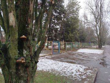 � ������ �����!. ������ ���� � ������ � ����� ����