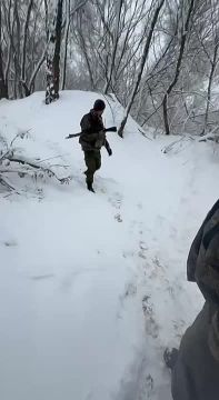 ������� �������� ����� ��������� ����� ��� �� ����������