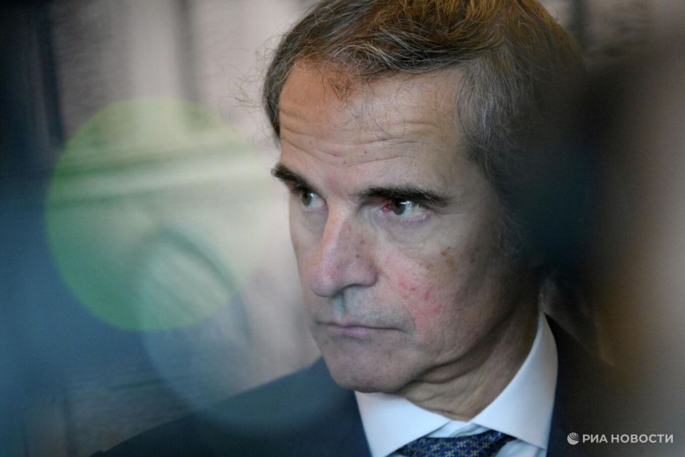 Рафаэль Гросси: у нас с Россией профессиональная система взаимодействия