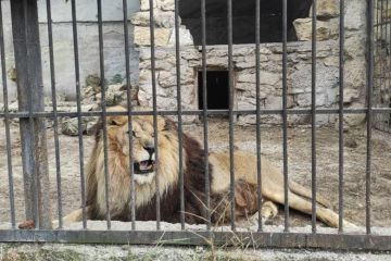 � ����������� ������� ��� ����� ����� ��� ���������� ������� � ��������