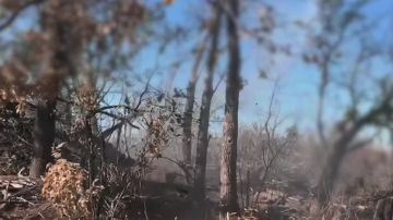 � ���� ��������� �������� �������� ���� ������-10� ���� �������� ������� ������ ���������� �� ���������� ������� ���������, � ����� ������������ ����� ���� � �������� ���������