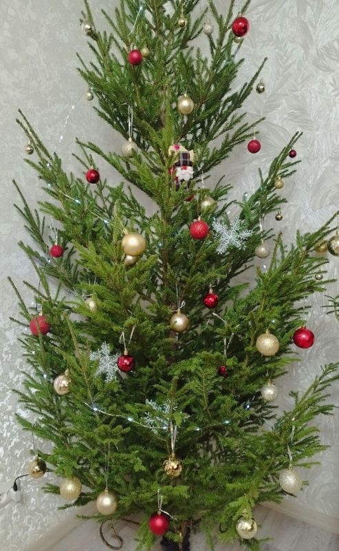 ����� ��� �������� ������� ������ ����������� �������