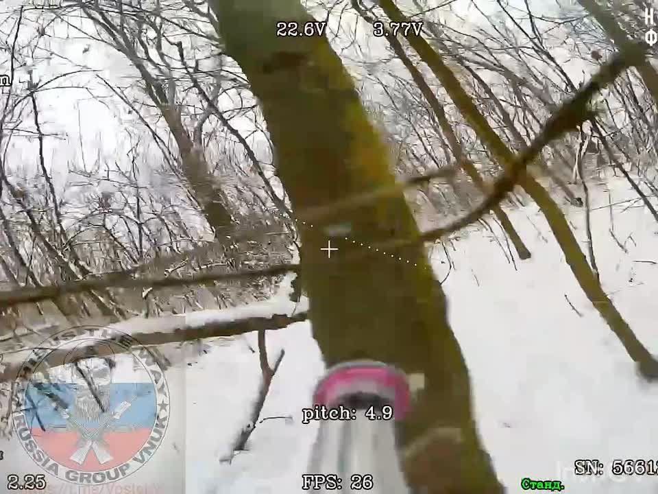 ����� ��� ��������������� ��������������� ���������� ��������� �� ������� ����������-����������