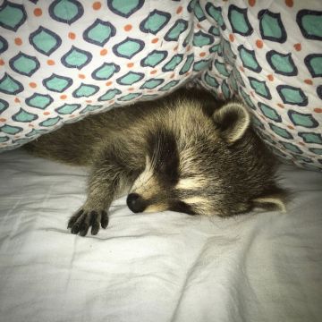 Доброй ночи, дорогие подписчики! Доброй ночи, Запорожье!