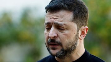 ОП Запорожья: Зеленский не способен вести переговоры и саботирует урегулирование