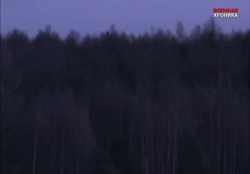 ���������� ������ �������� ��������, ���������������� ��������� Laserbuzz (��� ���� ����������) � ������ ��������� �������, ������� ��������� FPV-���� �� �������� 1 ��, ����� ���� ���������� ������ � 700 �