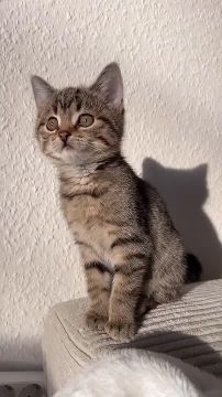 � ��� � �������. � ��������� ��������� ��������� ������� ���� � ����