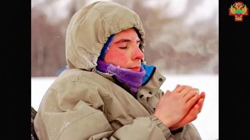 �����������: ��� ���������� � ��� ������, ����� �������� ������� �����������