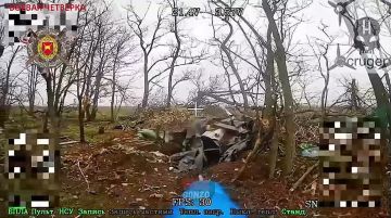 WarGonzo: ������ ������� ������� ���� ���� � �����